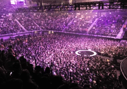 Concerts aux Arènes d'Angers