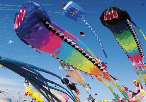 Festival des Cerfs-Volants à Berck-sur-Mer
