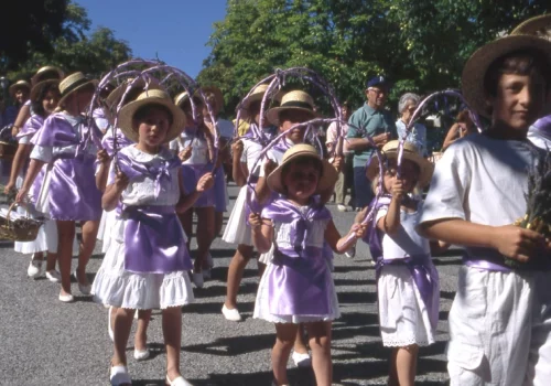 Fête de la Lavande à Valensole