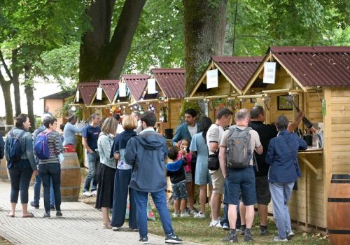 Fête des vendanges à Gaillac