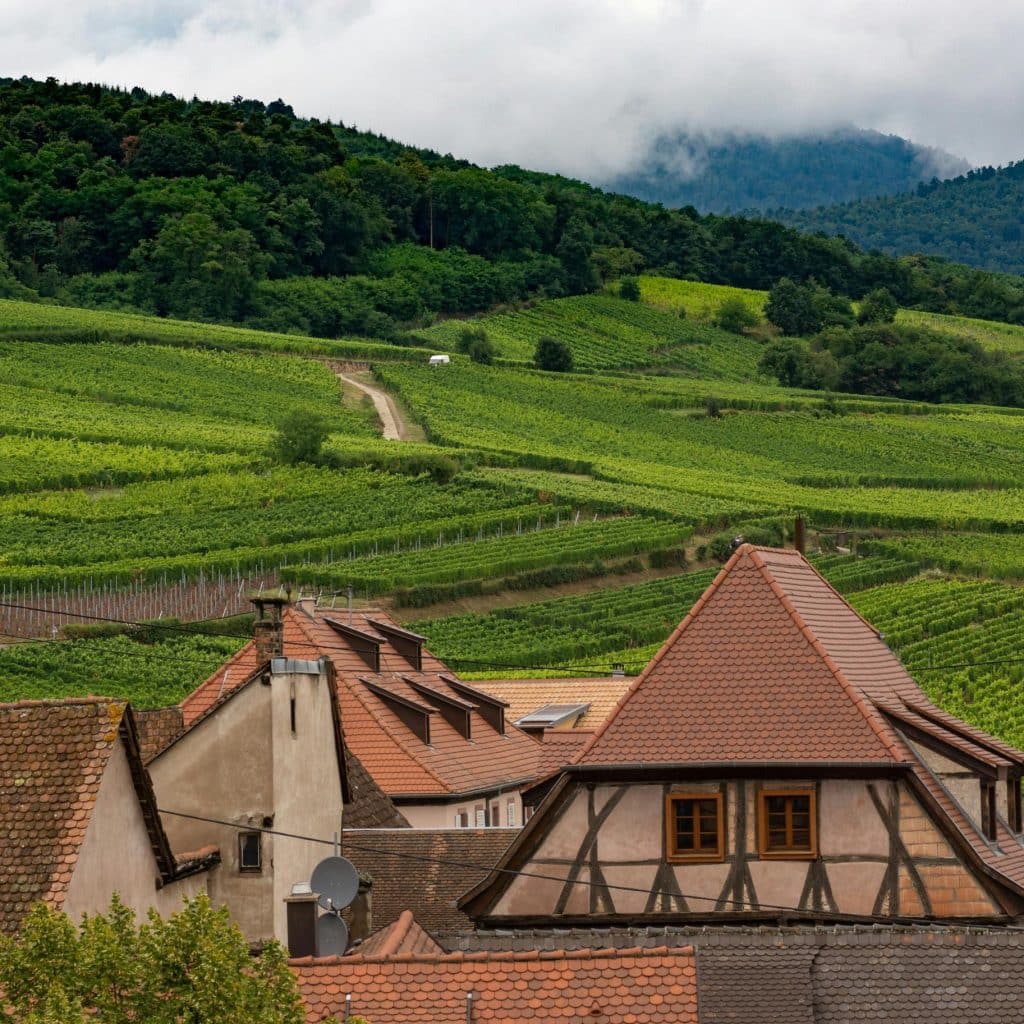 Vue sur les vignobles alsaciens depuis une love room dans le Grand Est