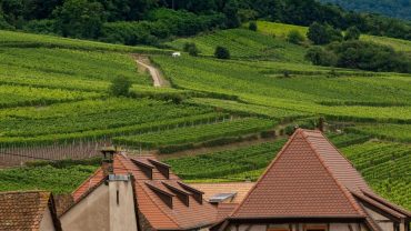 Vue sur les vignobles alsaciens depuis une love room dans le Grand Est
